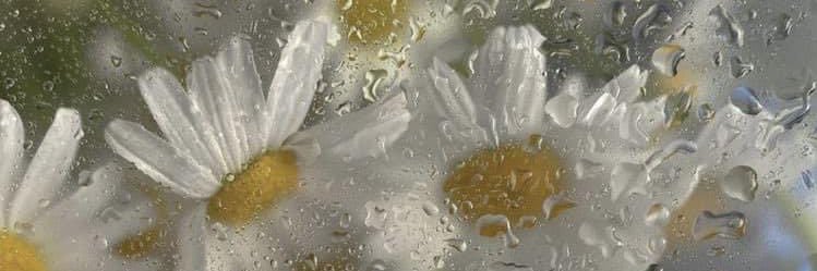 mymooooooooood's profile banner image