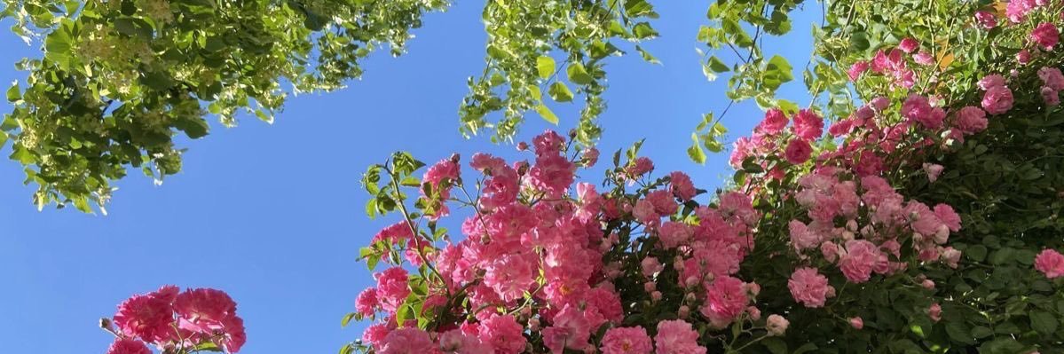 JuliR05_'s profile banner image
