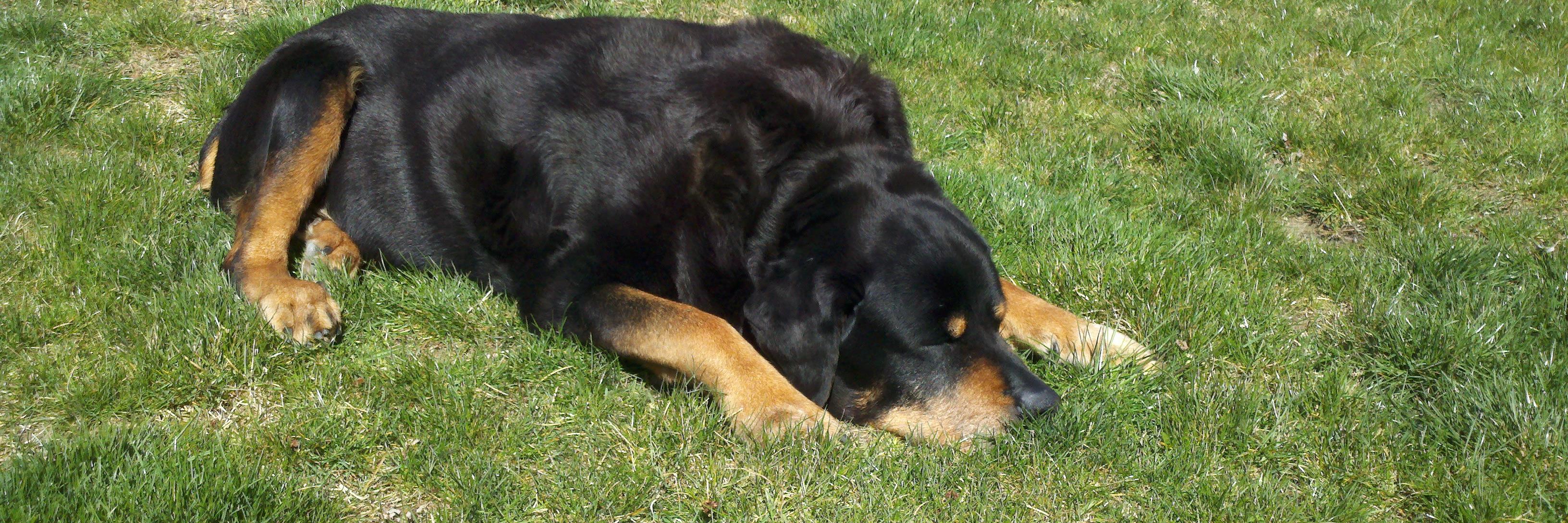 Doug_E_K's profile banner image