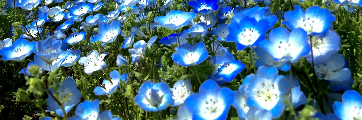 とめ banner