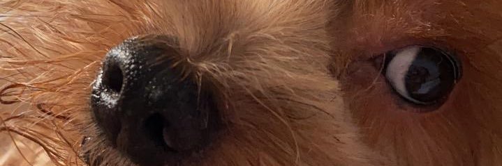 Felipehmsk's profile banner image