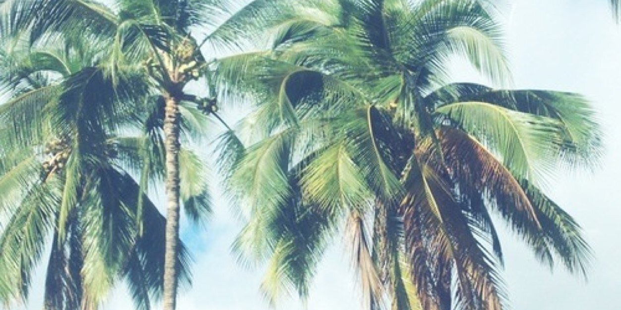 Anna_Taylor27's profile banner image