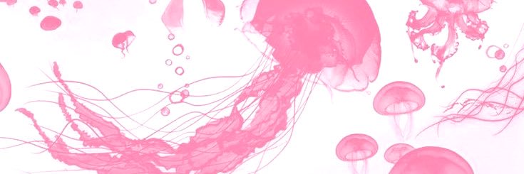 melyn lee banner