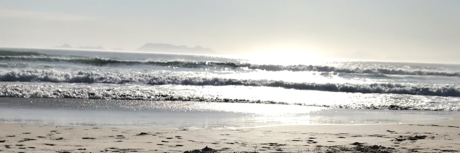 Suné Kitshoff banner