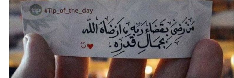 Nsreen El Sheikh banner