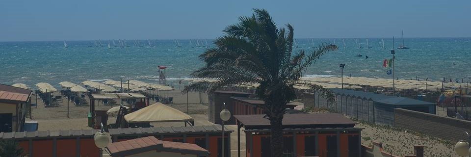 LeChatN84019393's profile banner image