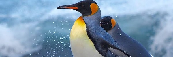 SJ_0016 Profile Banner