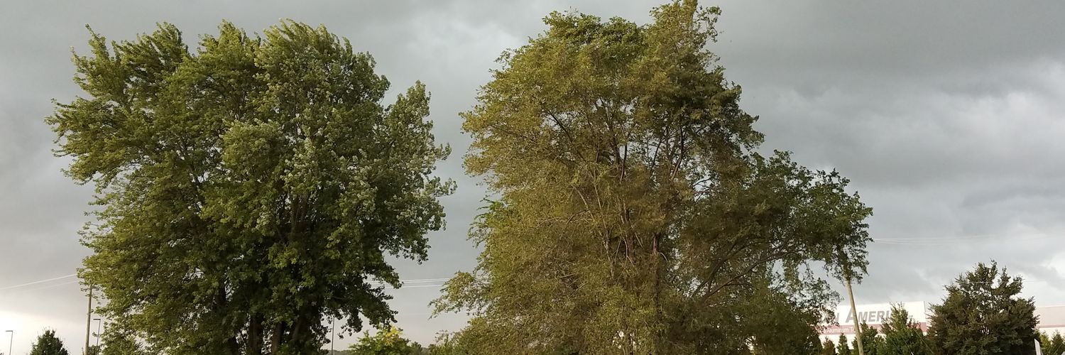 rondadwright's profile banner image