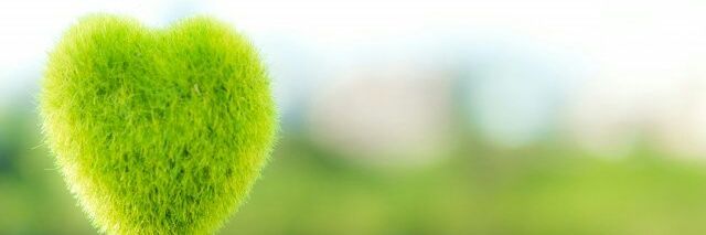 biblo75v's profile banner image