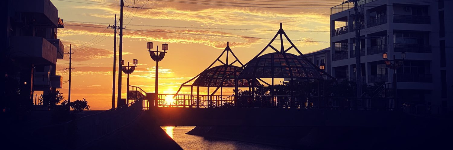 Frogskins_'s profile banner image
