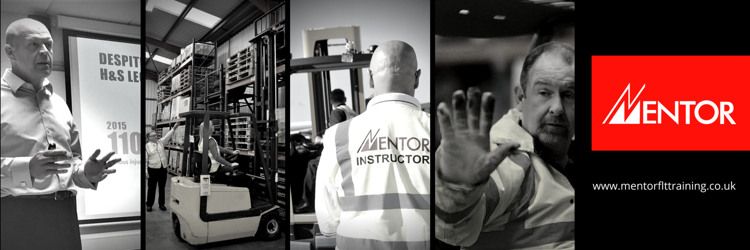 Mentor FLT Training banner