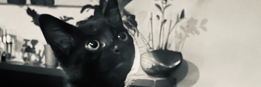 f_morgad0's profile banner image