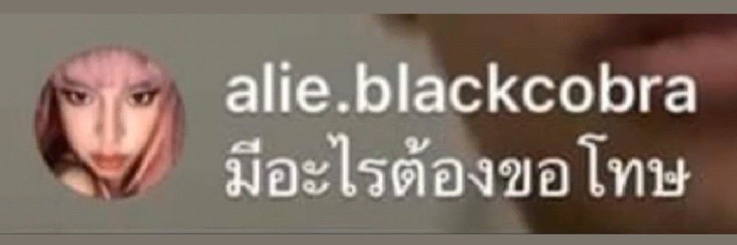 อองตวนเน็ตเวิร์ก banner