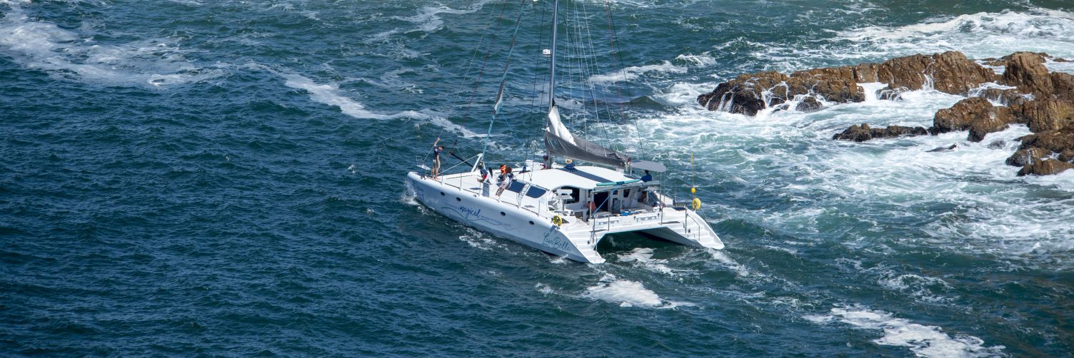 Ocean Sailing Charters banner