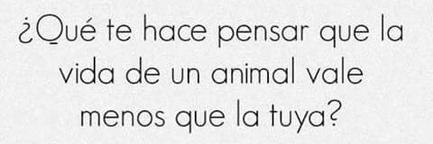 Howes con Patas banner