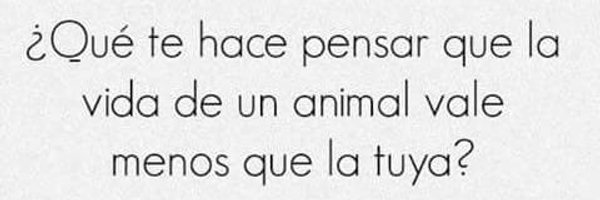 jnee5134 Profile Banner