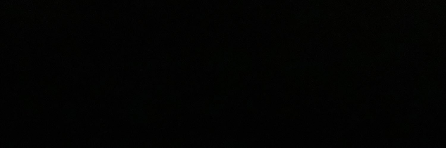 Ppp13 banner