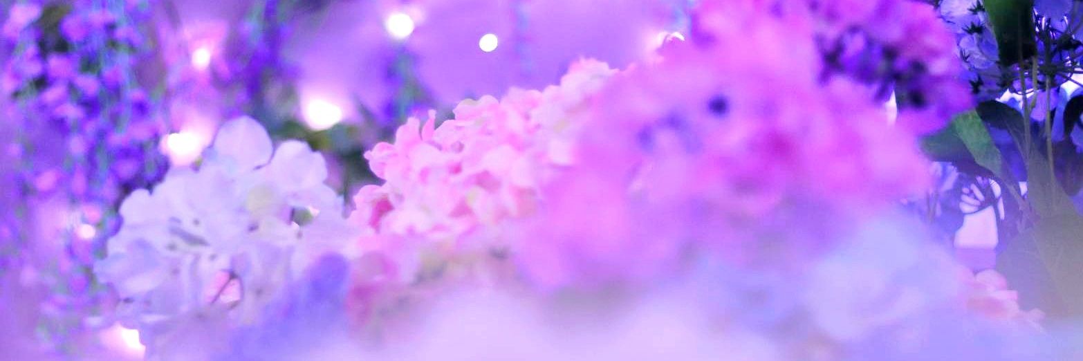 ぜ(ろ)る@無言フォロー失礼します✨ banner