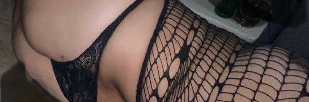 melis tolga banner