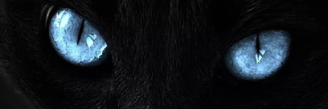 S23536242's profile banner image