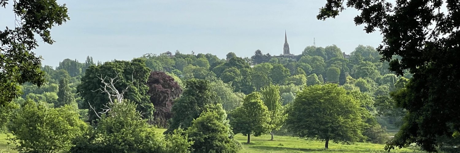 Emma Kingsley banner