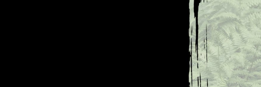 erty banner