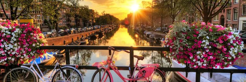 Anastasia (💙,🧡) 🛸 banner