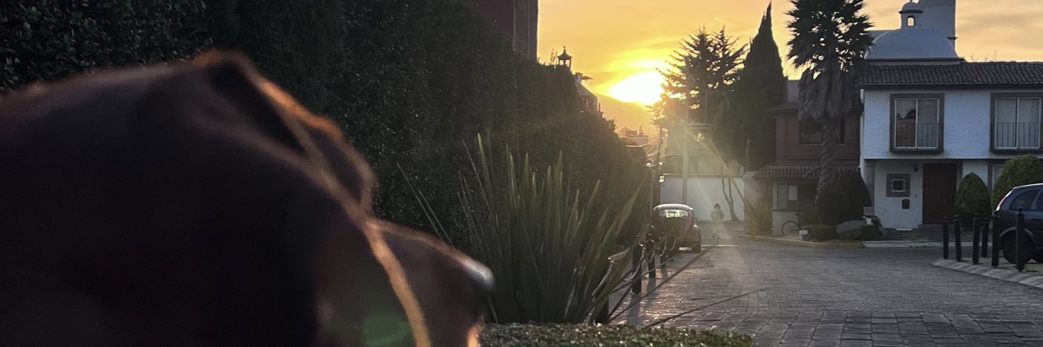PltSofi's profile banner image