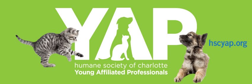 HSCYAP's profile banner image
