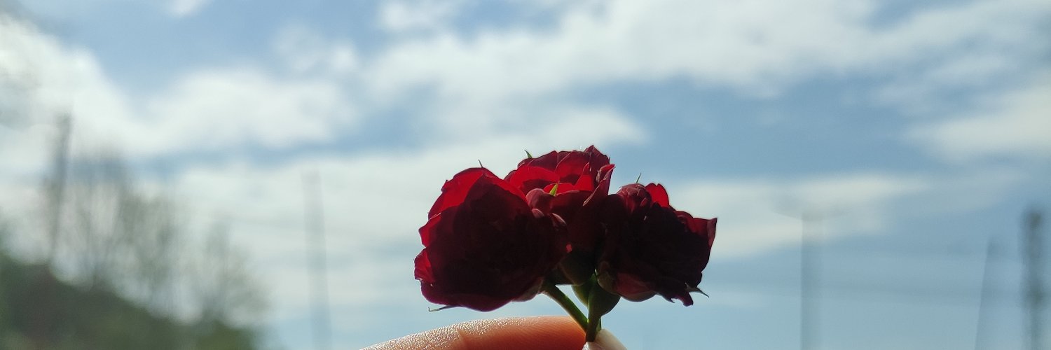 crovedove's profile banner image