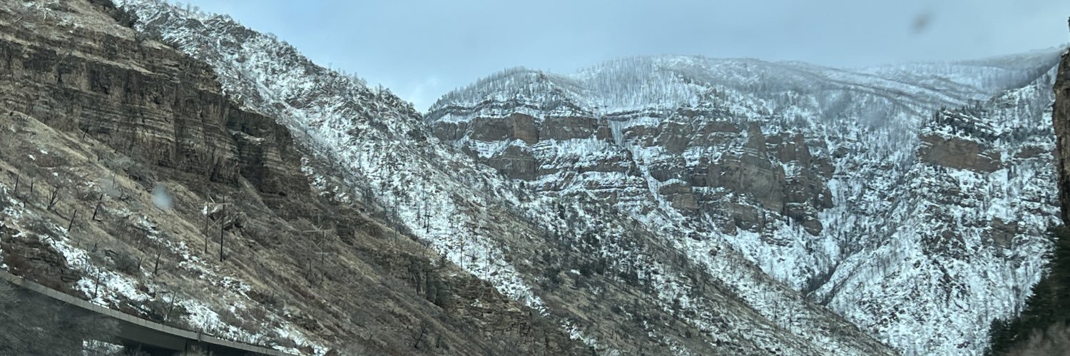 Kate Zoha 🐦 banner