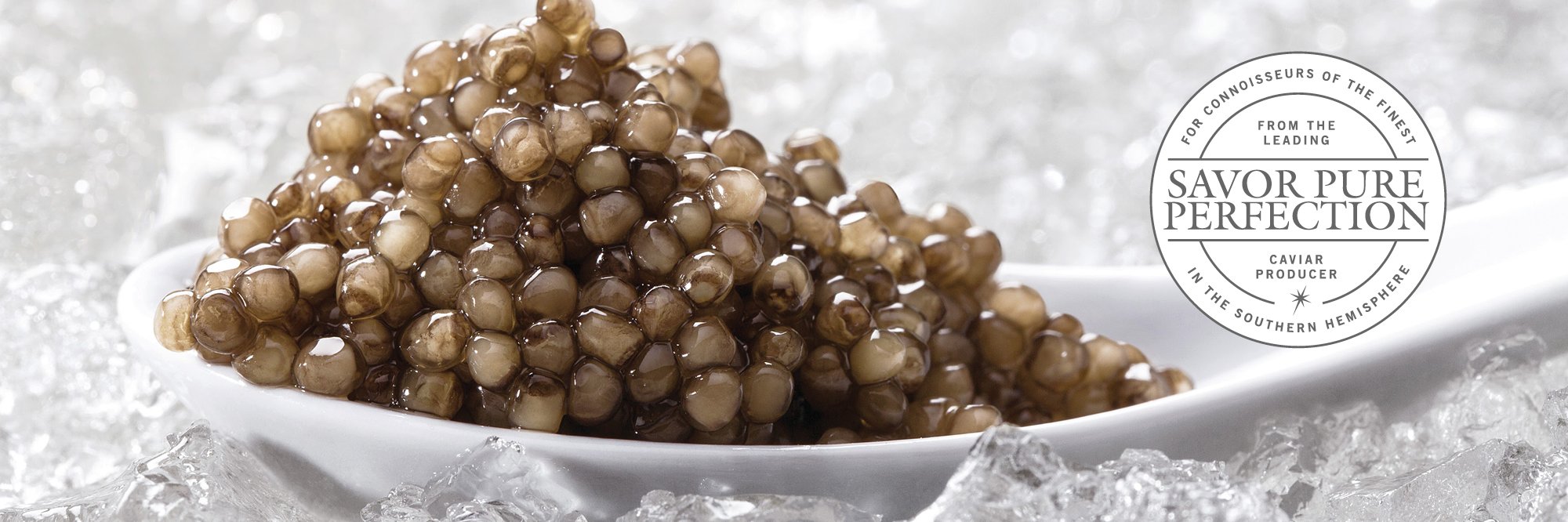 Black River Caviar banner