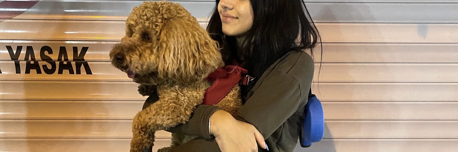 celiksilaa's profile banner image