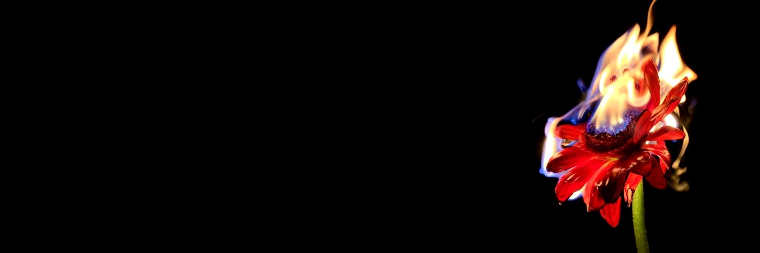 ܾ banner