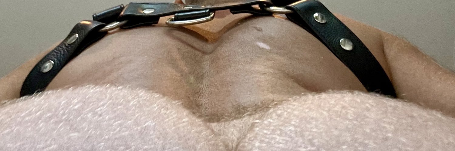 GaBearCum 🐻 banner