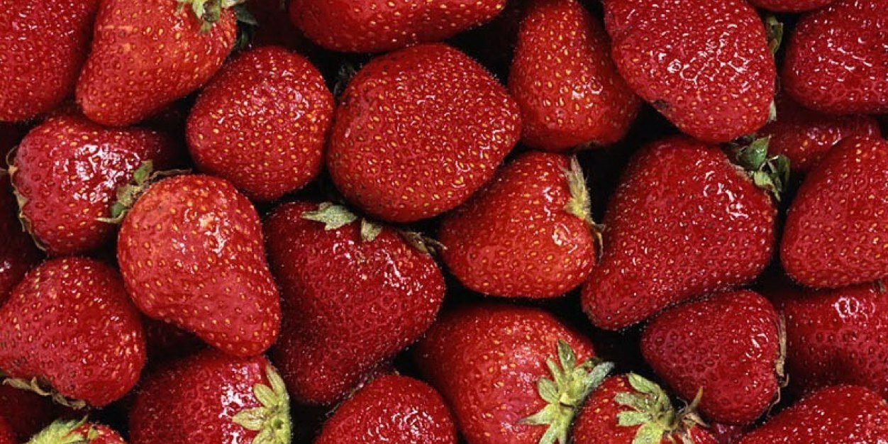 추승엽 banner