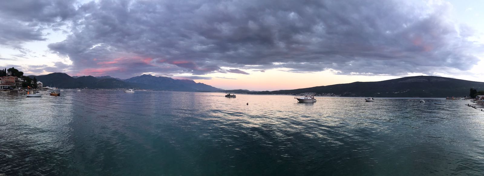 Jade Catterson banner