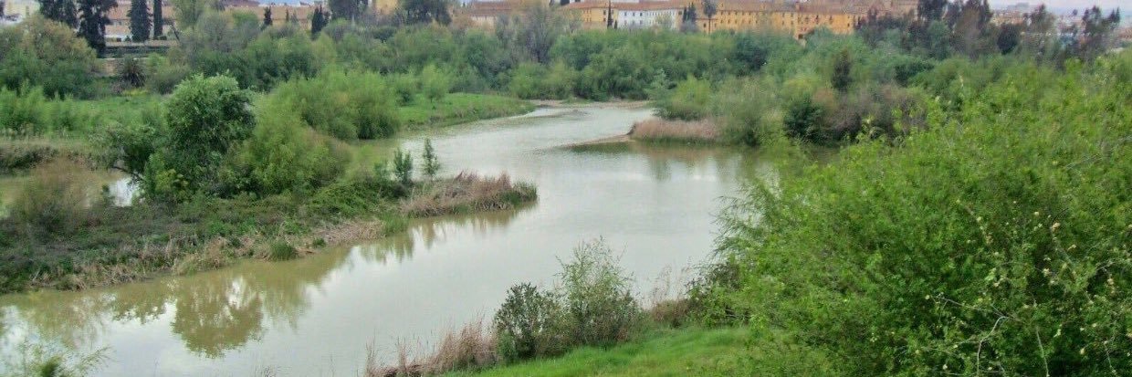 Abdulaziz alkhathlan banner