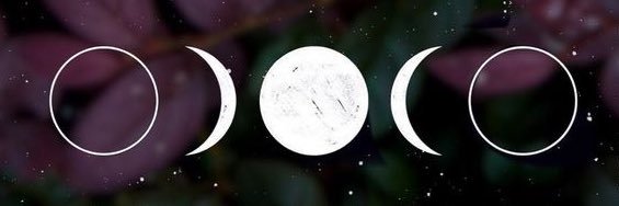 Sunbeamgrey's profile banner image