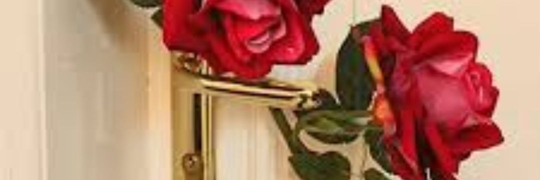 mahba88's profile banner image