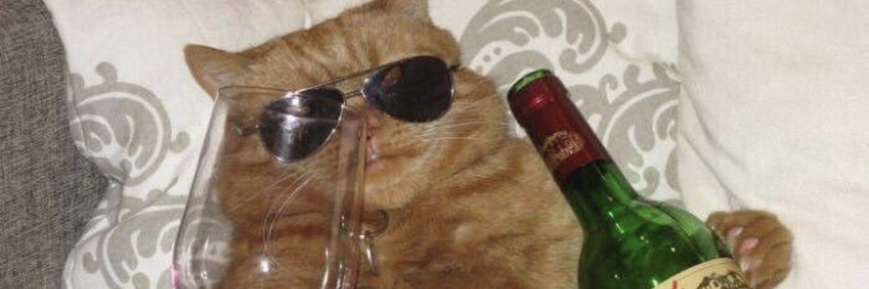 flash mcqueer 🍉 banner