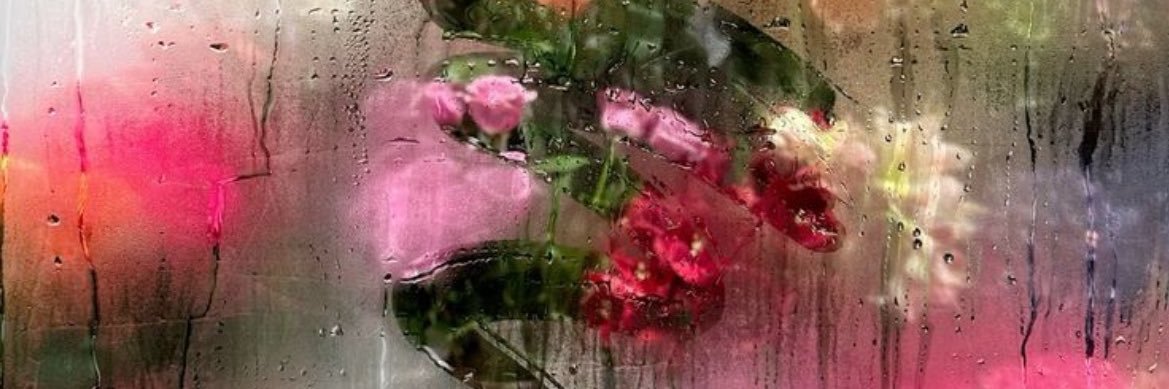 🪷 banner