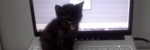 em banner