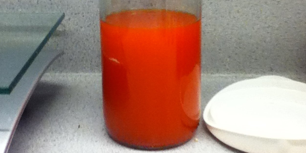 Caleb Echterling banner