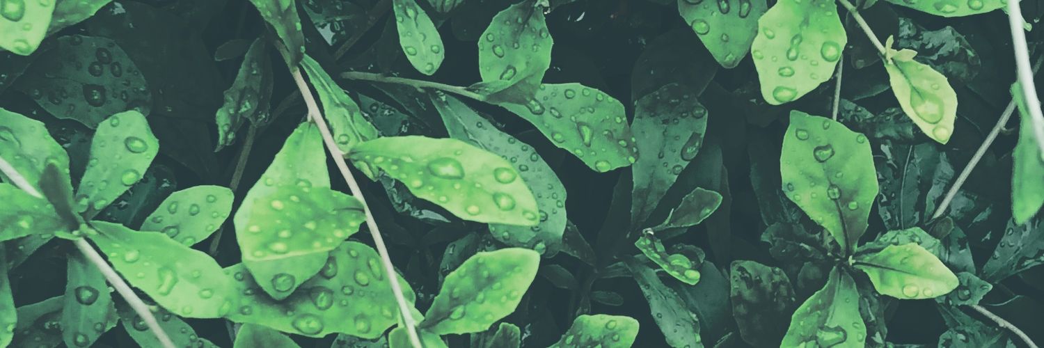 zulkimal1's profile banner image