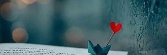 Kely Costa🌹 banner