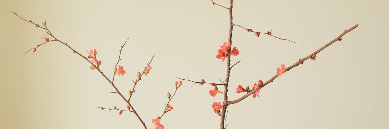 الهام السادات هاشمی banner