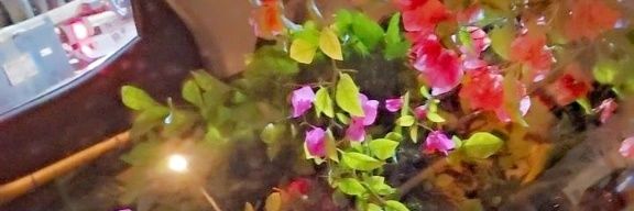 ___kwali___'s profile banner image