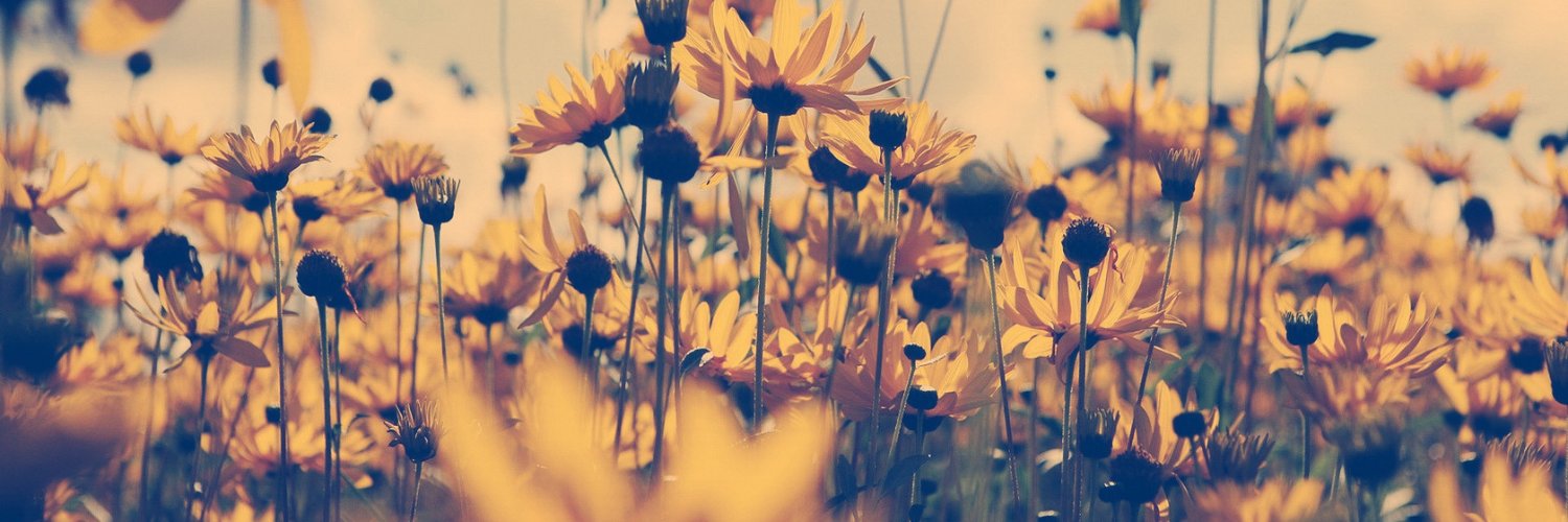 PerkupButtercup's profile banner image