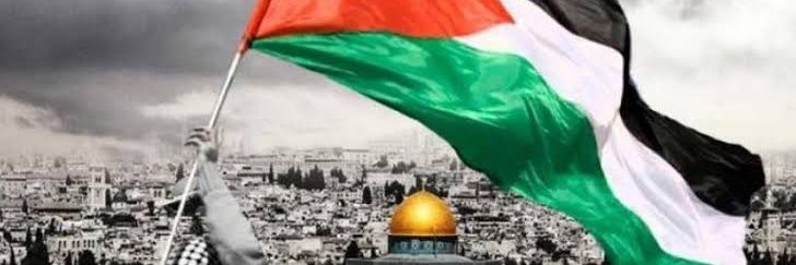 Rabab G Abou Hussein banner